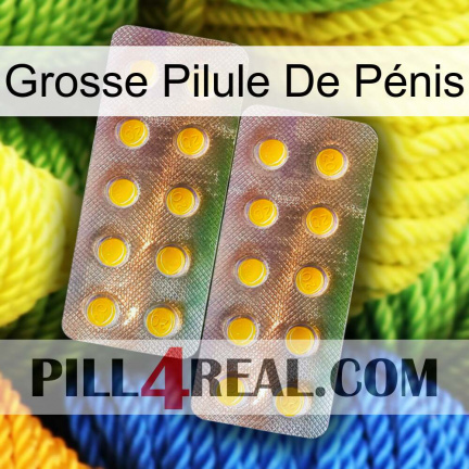 Grosse Pilule De Pénis new10